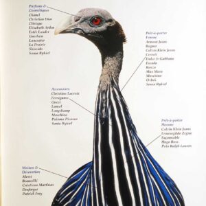 Espèces urbaines (Pfau)